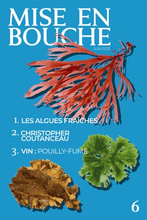 MISE EN BOUCHE N°6